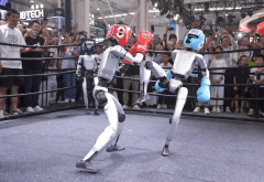 人形机械人从手艺