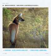 买新机开通会员首